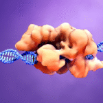 CRISPR: The Gene Editing Tool That Could Cure Diseases Before They Start
