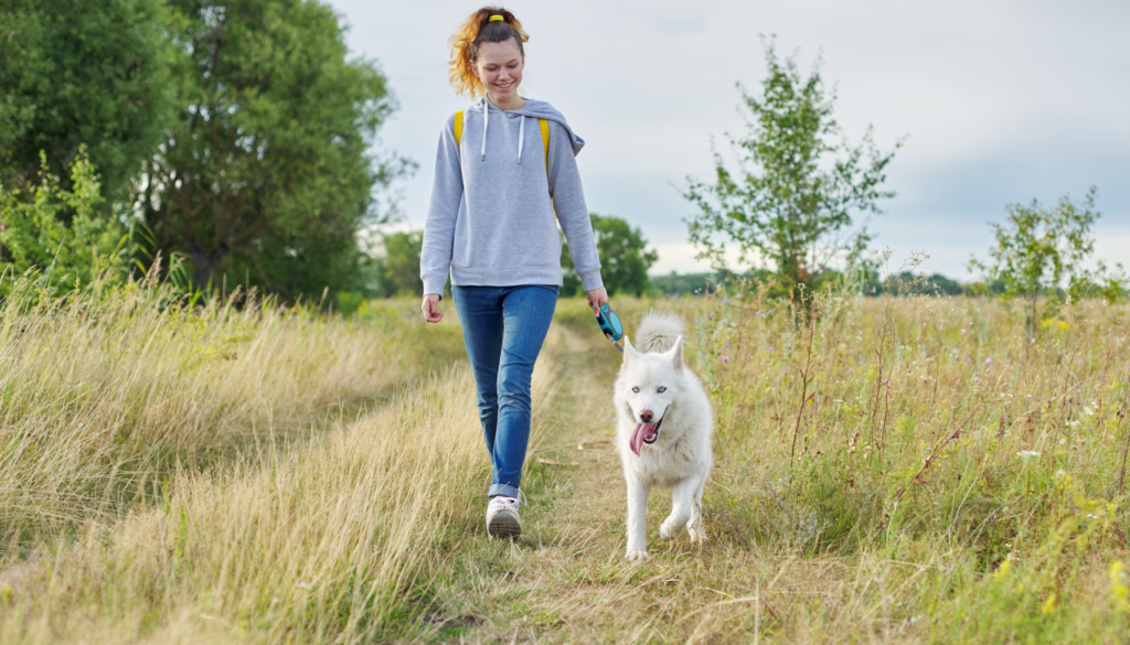 How to Create a Daily Routine for Your Dog