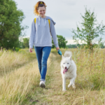 How to Create a Daily Routine for Your Dog