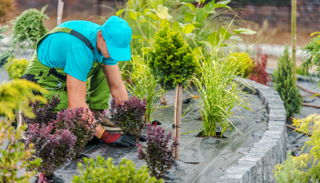 How to Repurpose Old Items Into Garden Decor