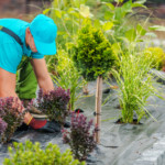 How to Repurpose Old Items Into Garden Decor