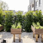 How to Start a Home Garden with No Experience