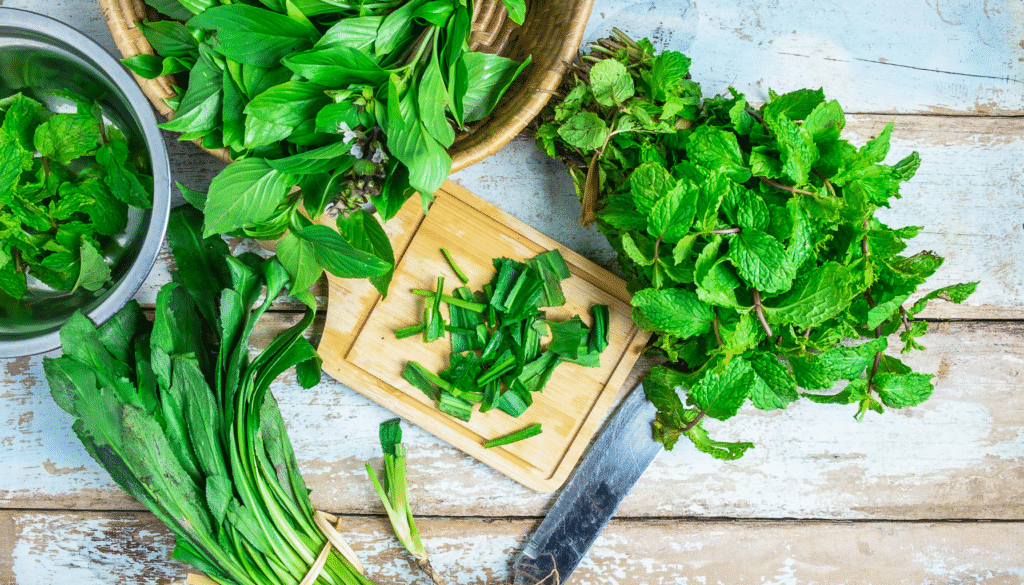 Best Herbs to Grow at Home: Aromatic, Useful, and Easy to Care For
