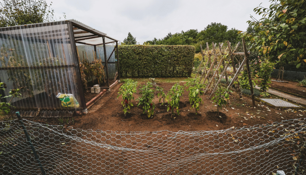 Embrace Sustainable Living: Easy Backyard Projects for Self-Sufficiency