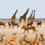 5 Fascinating Animal Kingdom Facts